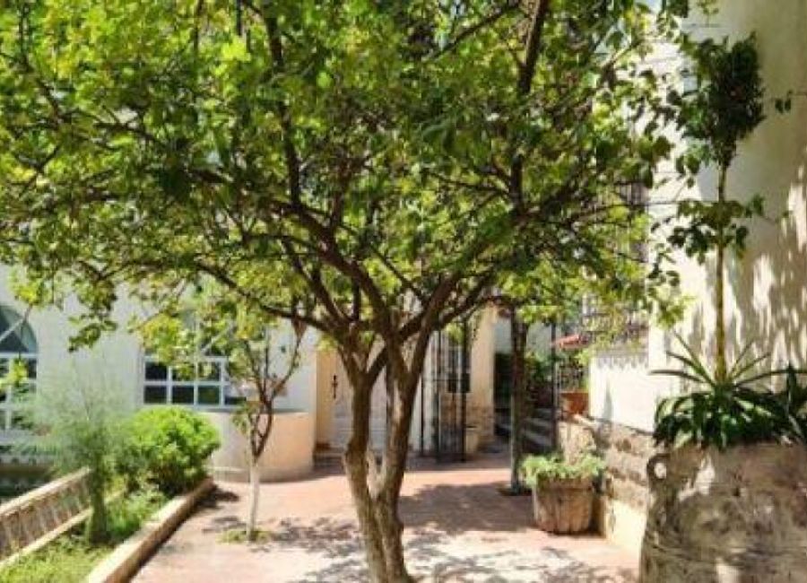 place photo 14