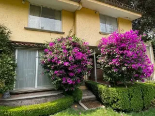 Casa en venta en Alcantarilla, Álvaro Obregón, Ciudad de México