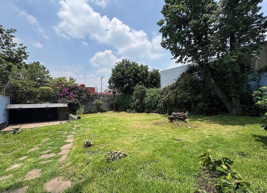 place photo 22