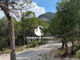 Terreno en Venta en Sin Colonia, Arteaga