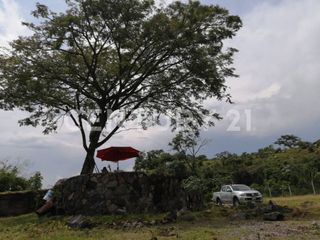 PREDIO RUSTICO PARA USO COMERCIAL EN RENTA, COFRADIA DE SUCHITLAN, COMALA, COL