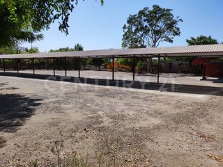Terreno en renta en Lo de Villa , Villa de Alvarez, Rancho de Villa, Colima.