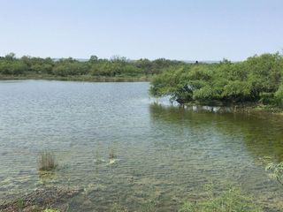 Venta de Rancho a puerta cerrada en Tamaulipas