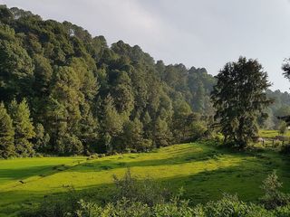 Terreno en venta en Los Saucos, Valle de Bravo