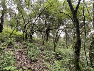 Terreno en venta en El Castellano, Valle de Bravo