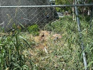 TERRENO EN VENTA EN COL. TAMAULIPAS EN GUADALUPE, N.L.