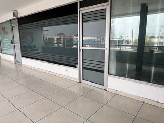 Locales comerciales en renta sobre Av. Revolución – Excelente ubicación al sur d