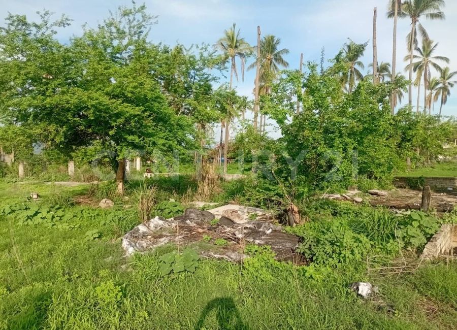 place photo 9