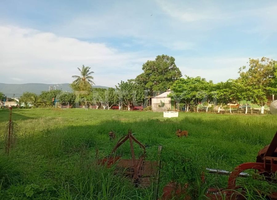 place photo 1