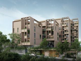 Sierra Santa Rosa 61
