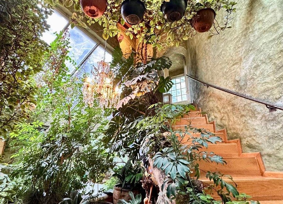place photo 33