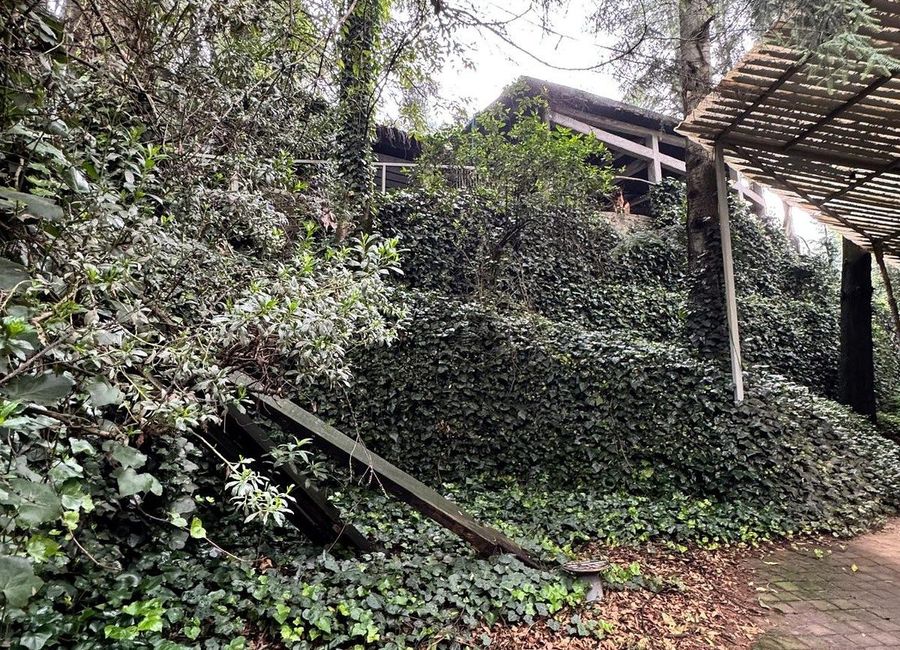 place photo 45