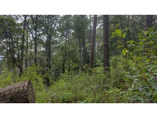 TERRENO EN VENTA PASO HONDO/CERRO GORDO/VALLE DE BRAVO