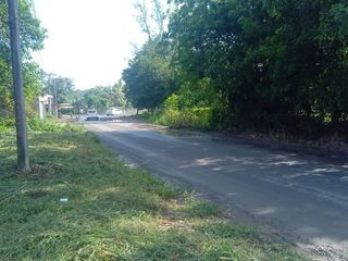 RENTA DE TERRENO A ORILLA DE CARRETERA OJITE-ALAMO, VERACRUZ.