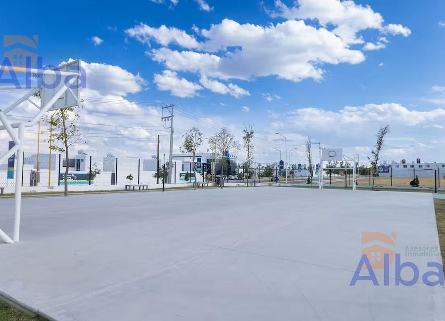 place photo 26