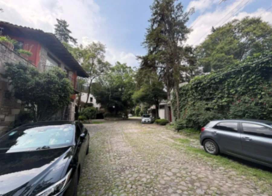 place photo 24