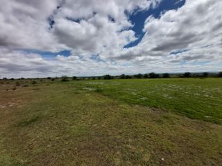 Terreno en El Llano, Aguascalientes