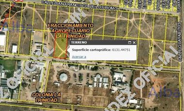 TERRENO EN VENTA EN SAN FRANCISCO DE LOS ROMO DESARROLLO AGROPECUARIO LA TRINIDAD