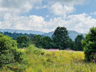 Terreno en Venta - 7,623 m² en San Simón el Alto, Valle de Bravo