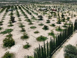 TERRENO EN VENTA EN PARRAS