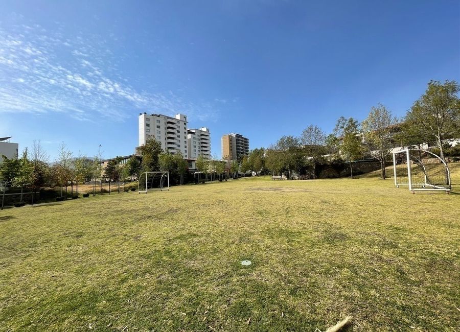 place photo 42