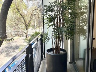 Departamento en renta amueblado en la Roma Norte con balcones