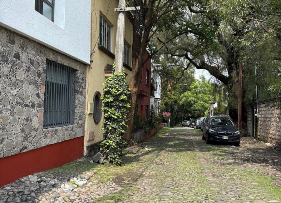 place photo 24