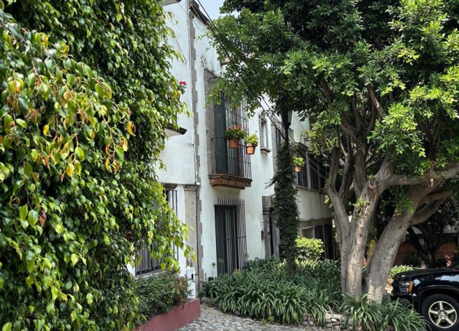 place photo 19