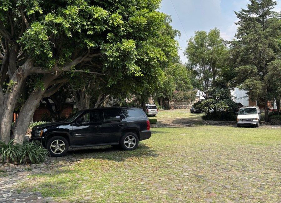 place photo 18