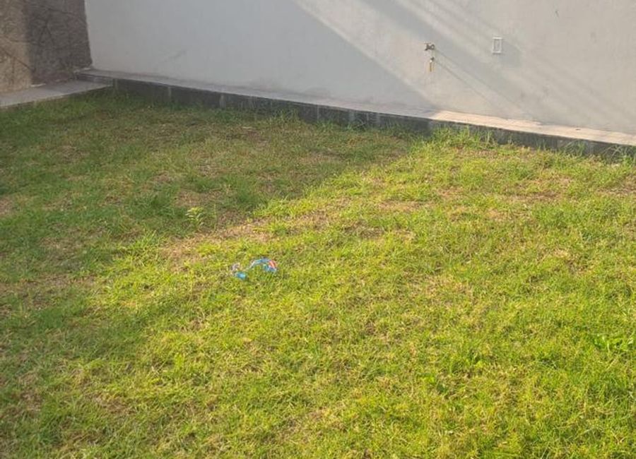 place photo 38