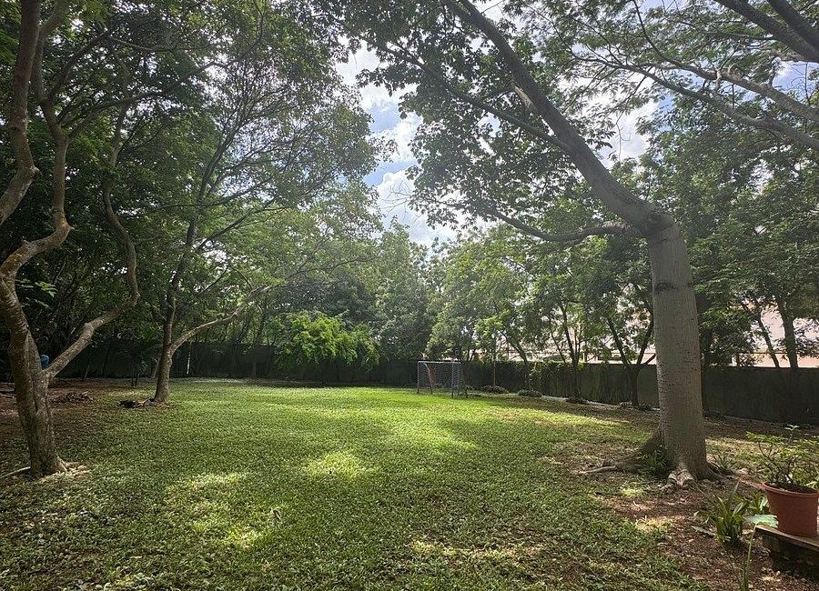 place photo 28