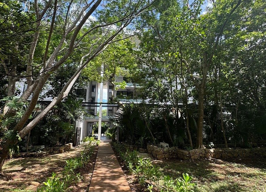 place photo 32