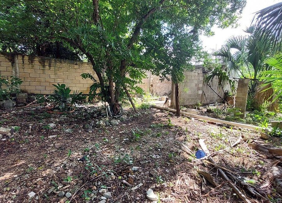 place photo 26