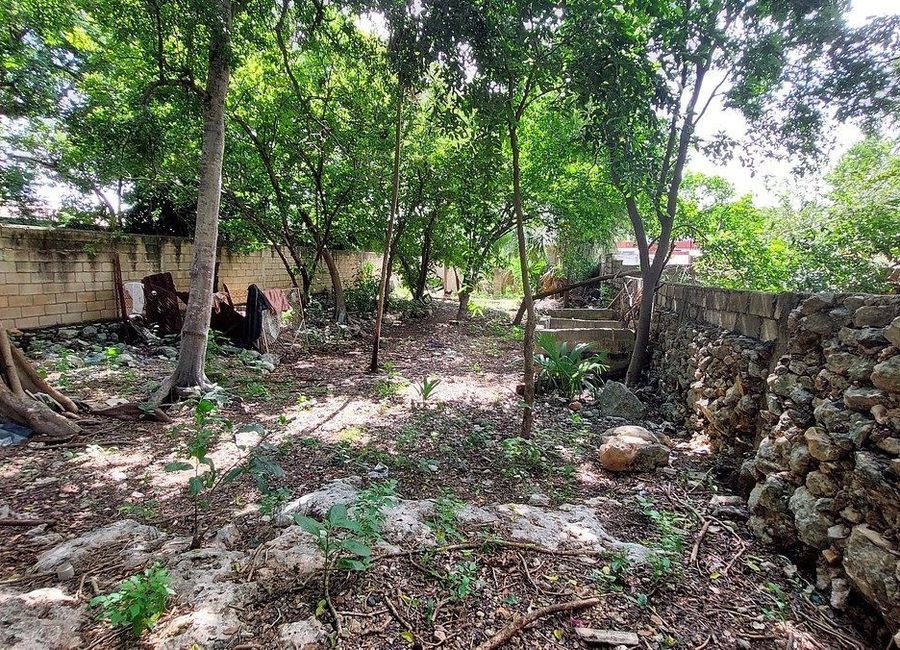 place photo 25