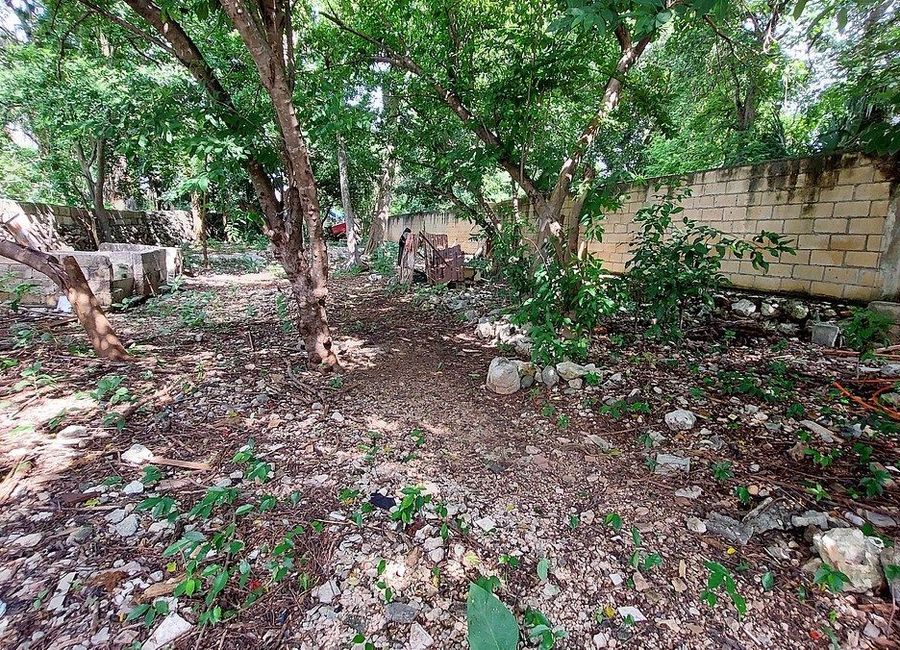 place photo 27