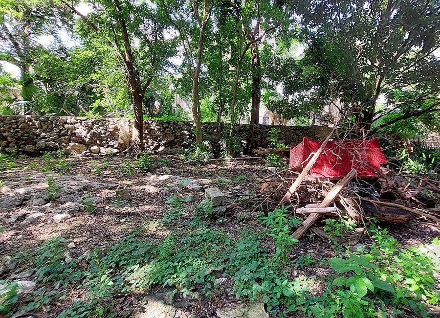 place photo 24