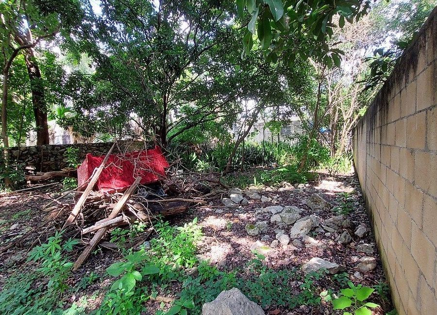 place photo 22
