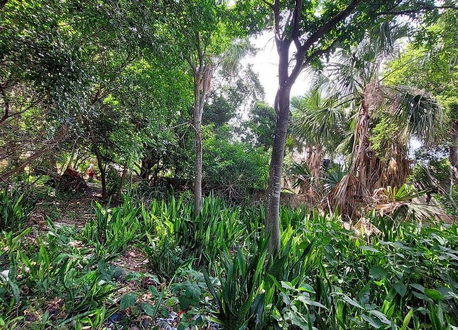 place photo 21