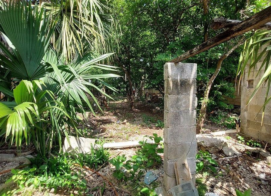 place photo 28