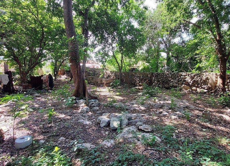 place photo 23