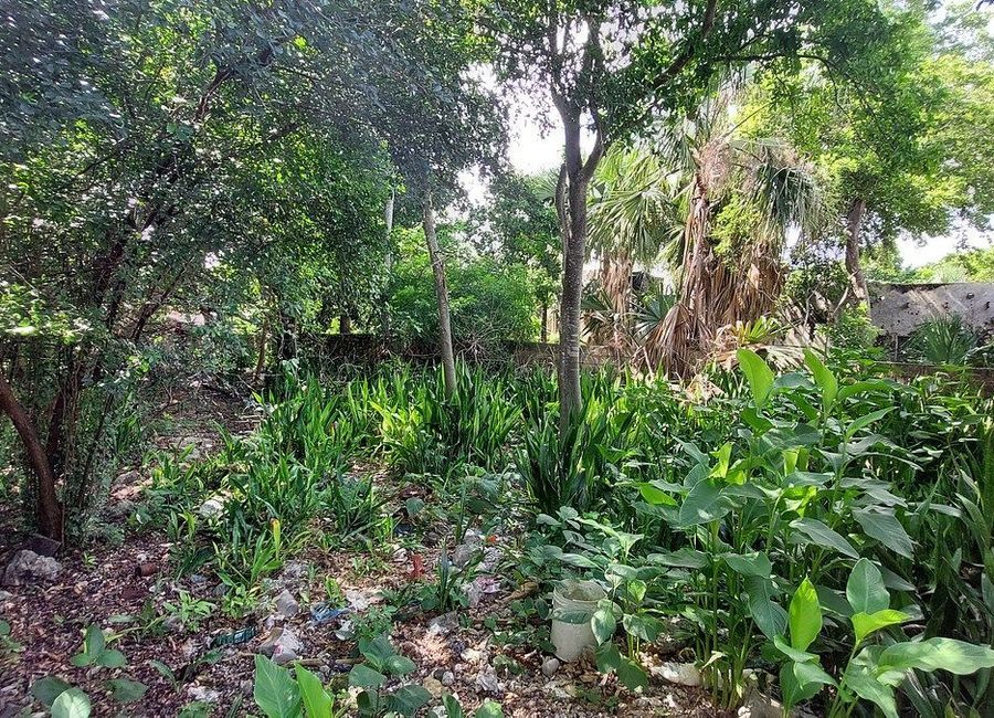 place photo 20