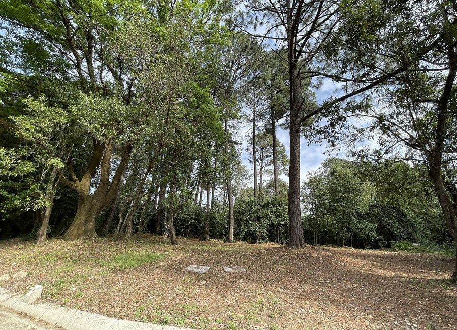 place photo 29