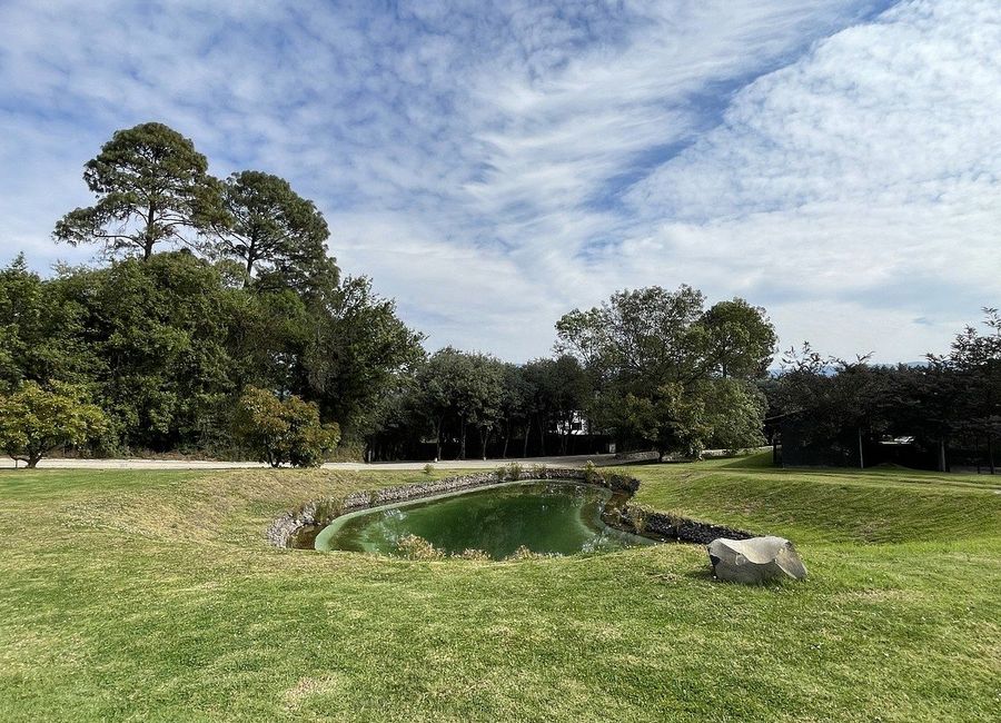 place photo 28