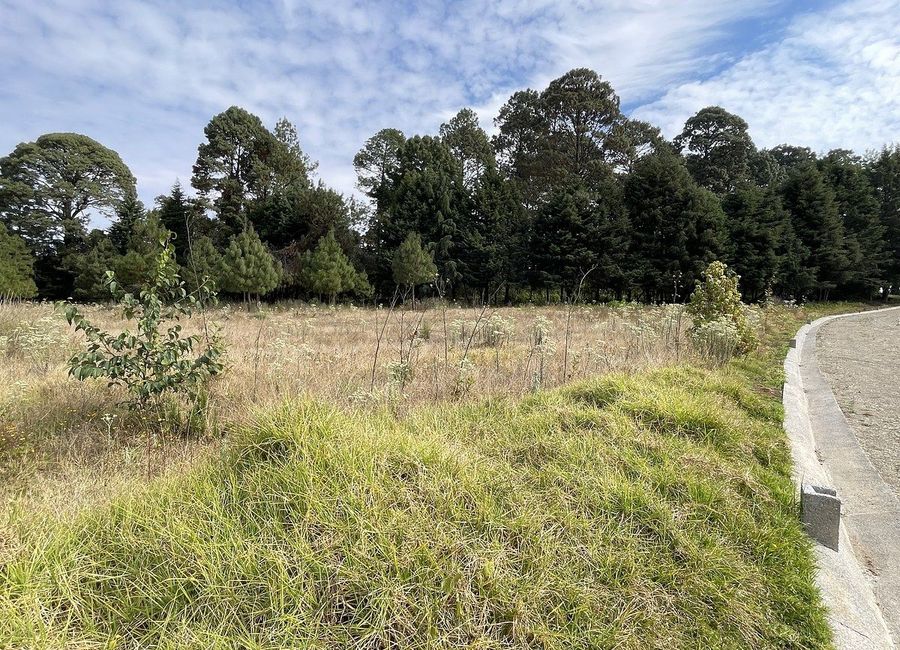place photo 35