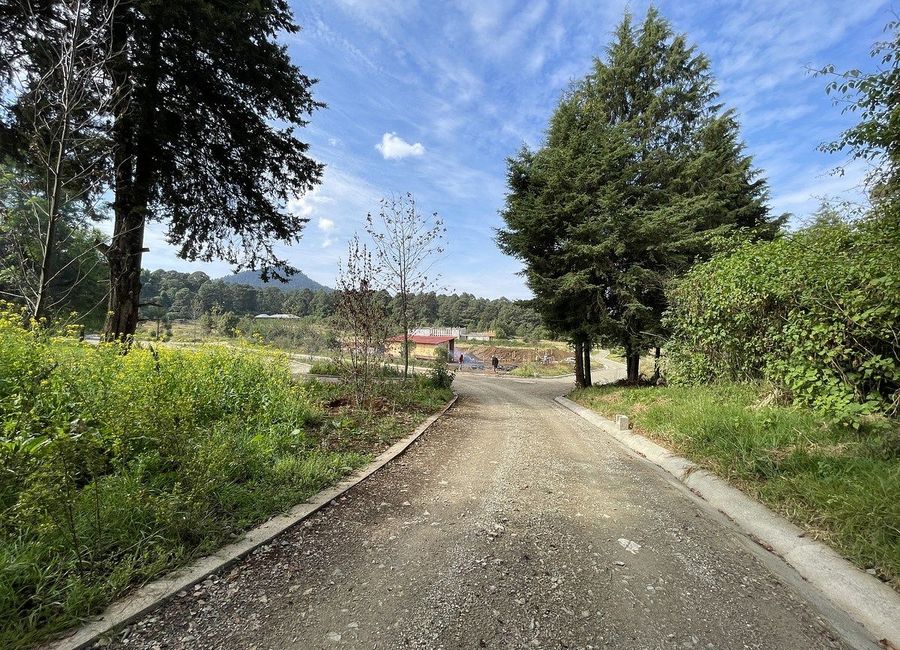 place photo 31