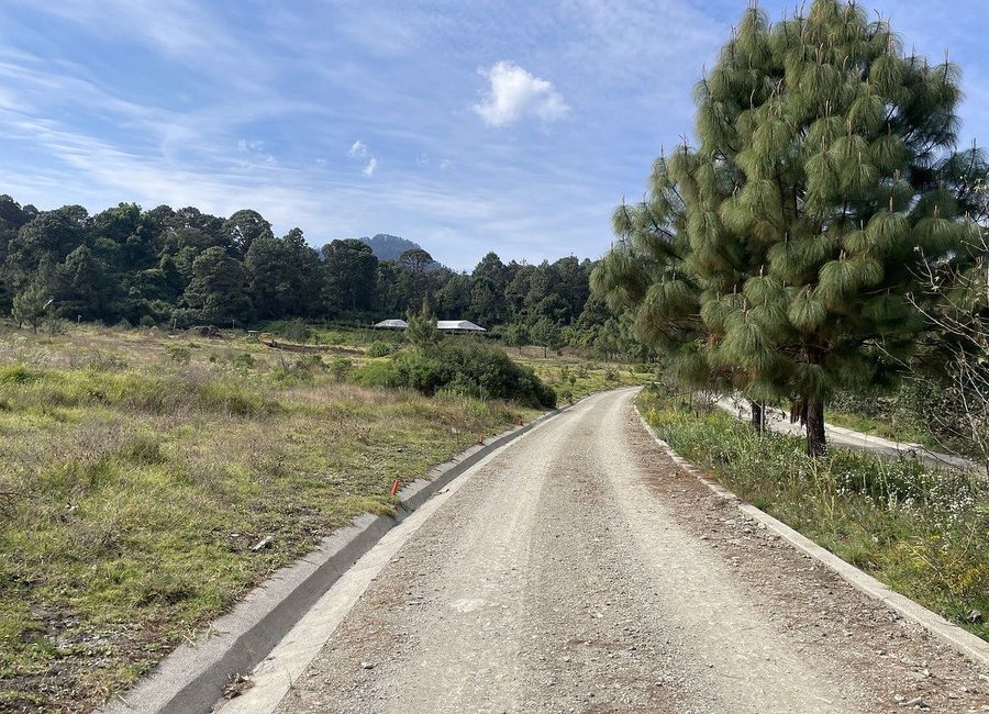 place photo 36