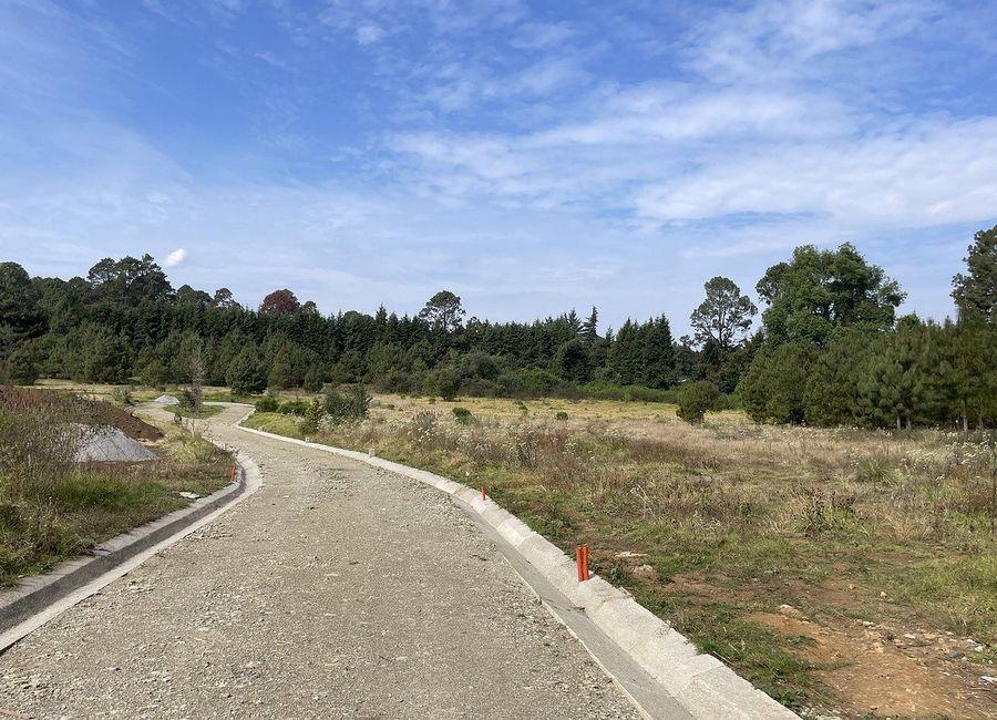 place photo 32