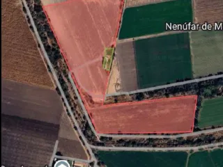 TERRENO SANTA ANA DEL CONDE LEON VENTA