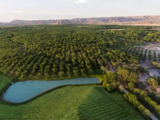 Terreno en venta en Sin colonia, Parras, Coahuila de Zaragoza
