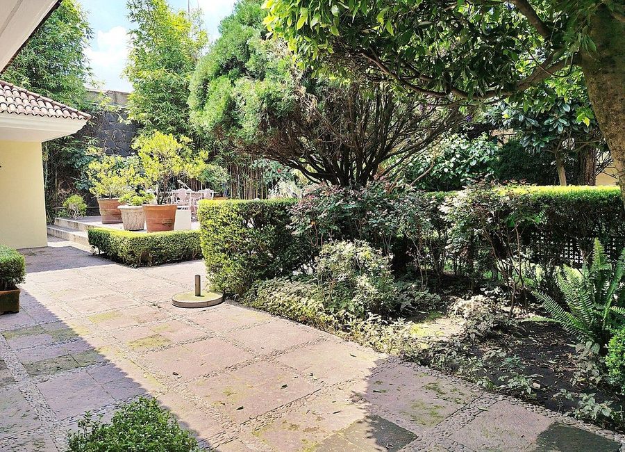 place photo 24